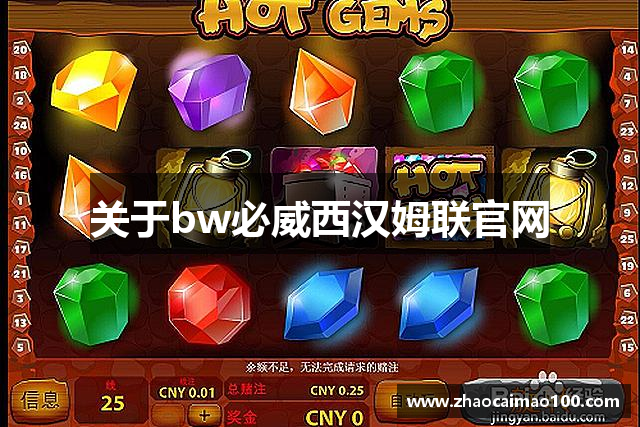 关于bw必威西汉姆联官网